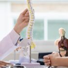 Doctor talking to a patient about Adjacent Segment Disease using a spine model.