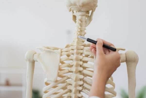 Close up of doctor touching back of human skeleton with pen in hand.