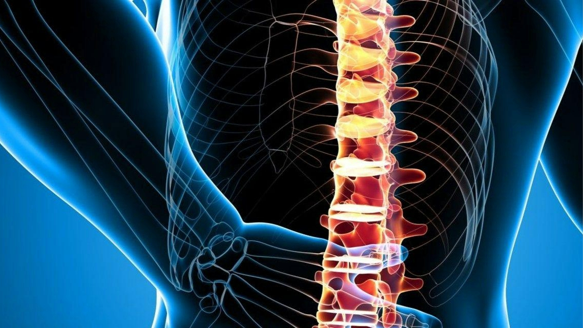 Spinal Fusion Surgery Recovery: A Guide to Healing
