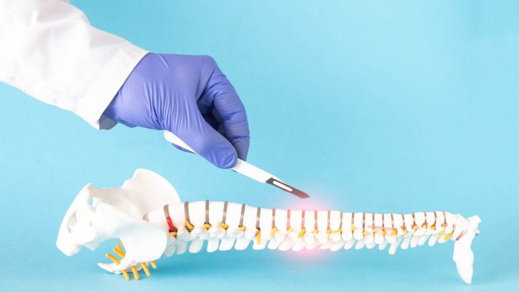 Doctor's hand with a scalpel near the mock up of the human spine on a blue background.