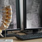 Human lumbar spine model and background of x-rays lumbar spine