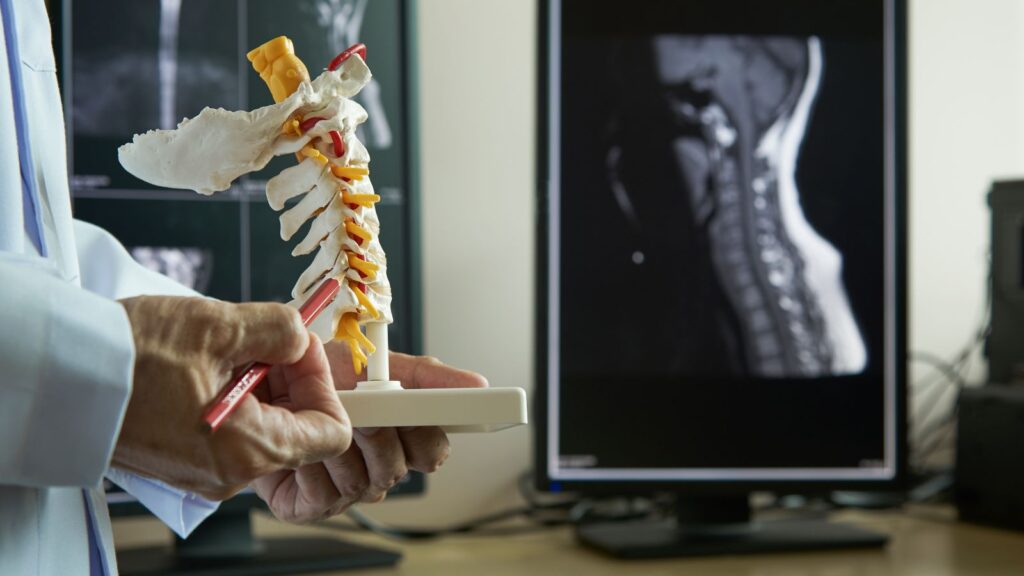 A neurosurgeon pointing and demonstrating anatomy of human cervical spine model