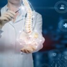 Doctor shows a human spine on blue background.