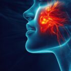 A combination of a realistic face rendering and trigeminal nerve diagram.