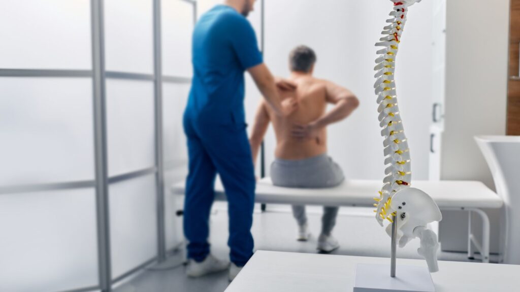 Model of spine on table in physical therapist's office.